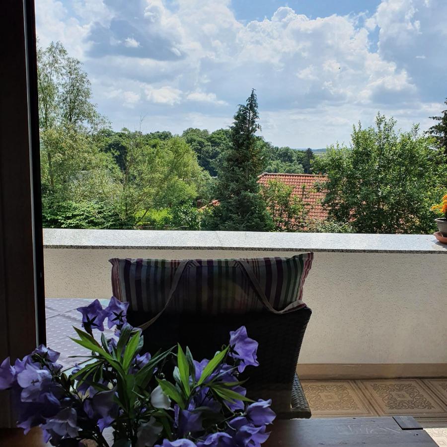 Schau Ins Land Apartment Елбингероде Екстериор снимка